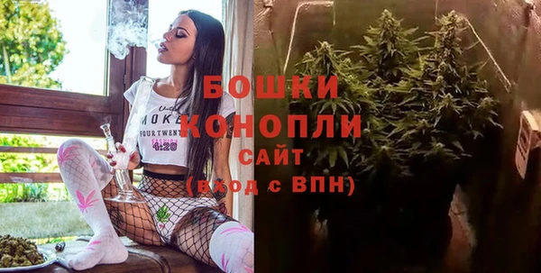 a pvp Аркадак