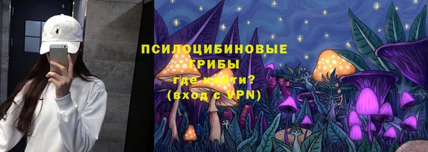 a pvp Аркадак